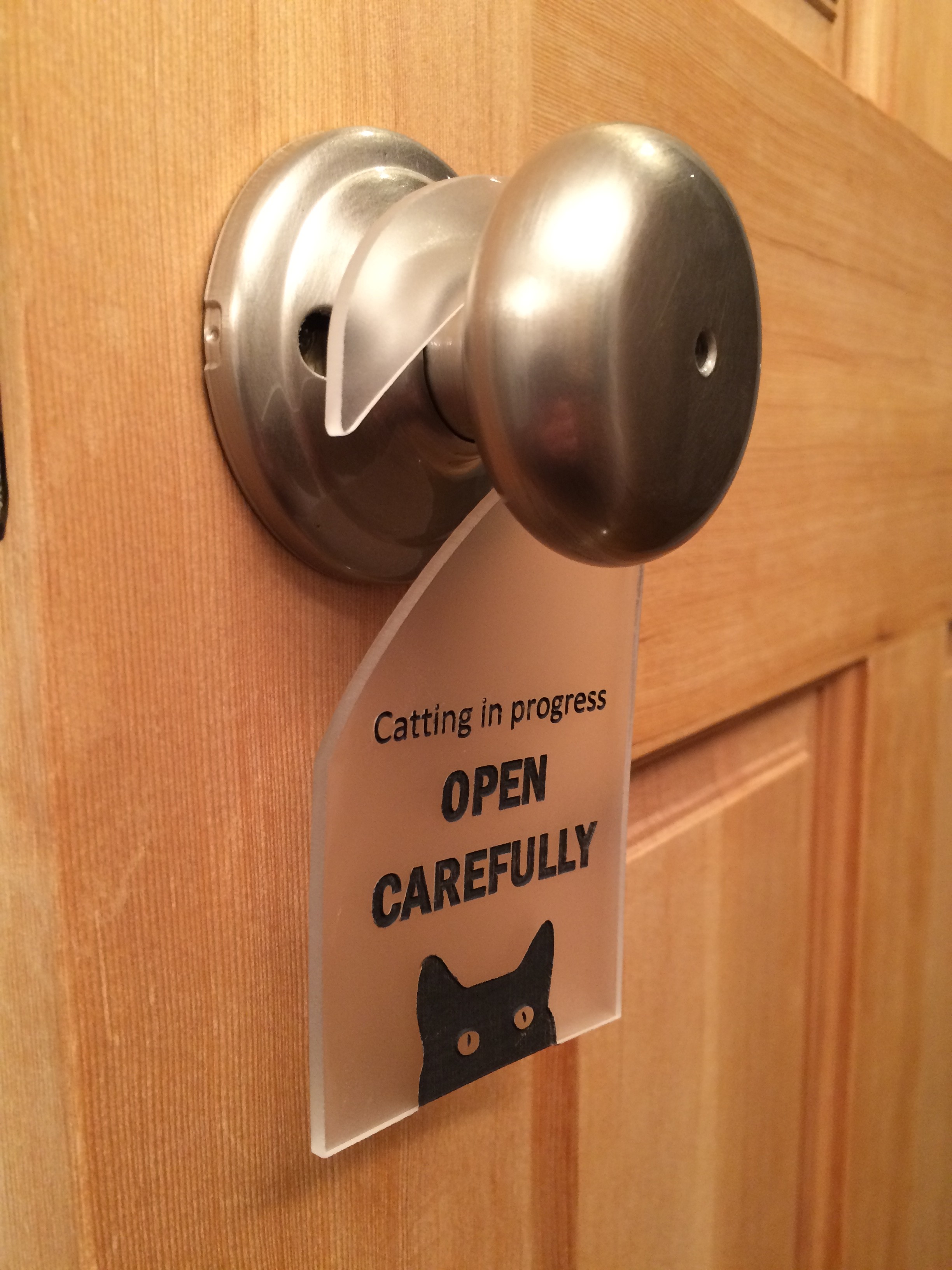 Cat door hanger