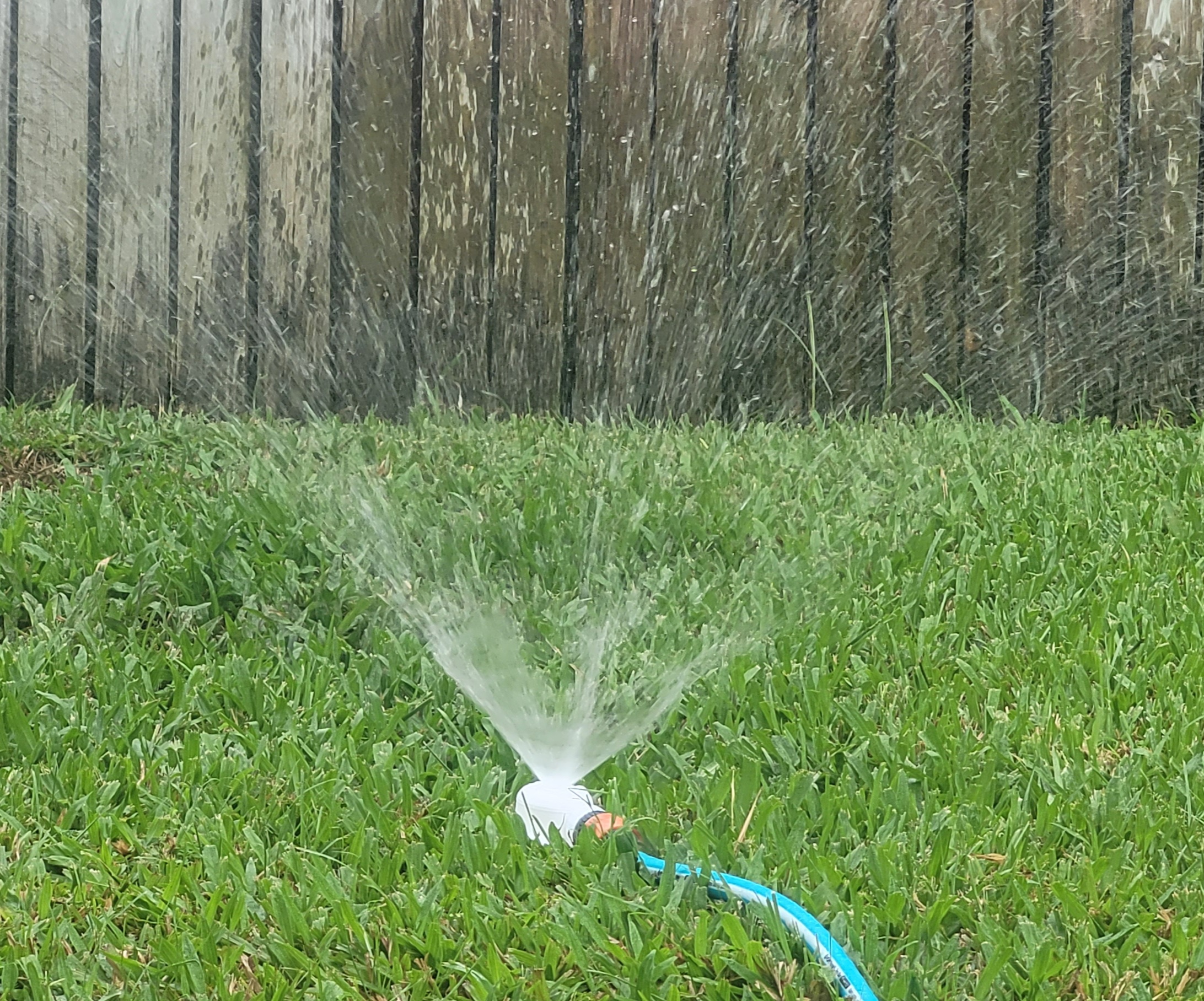 sprinkler