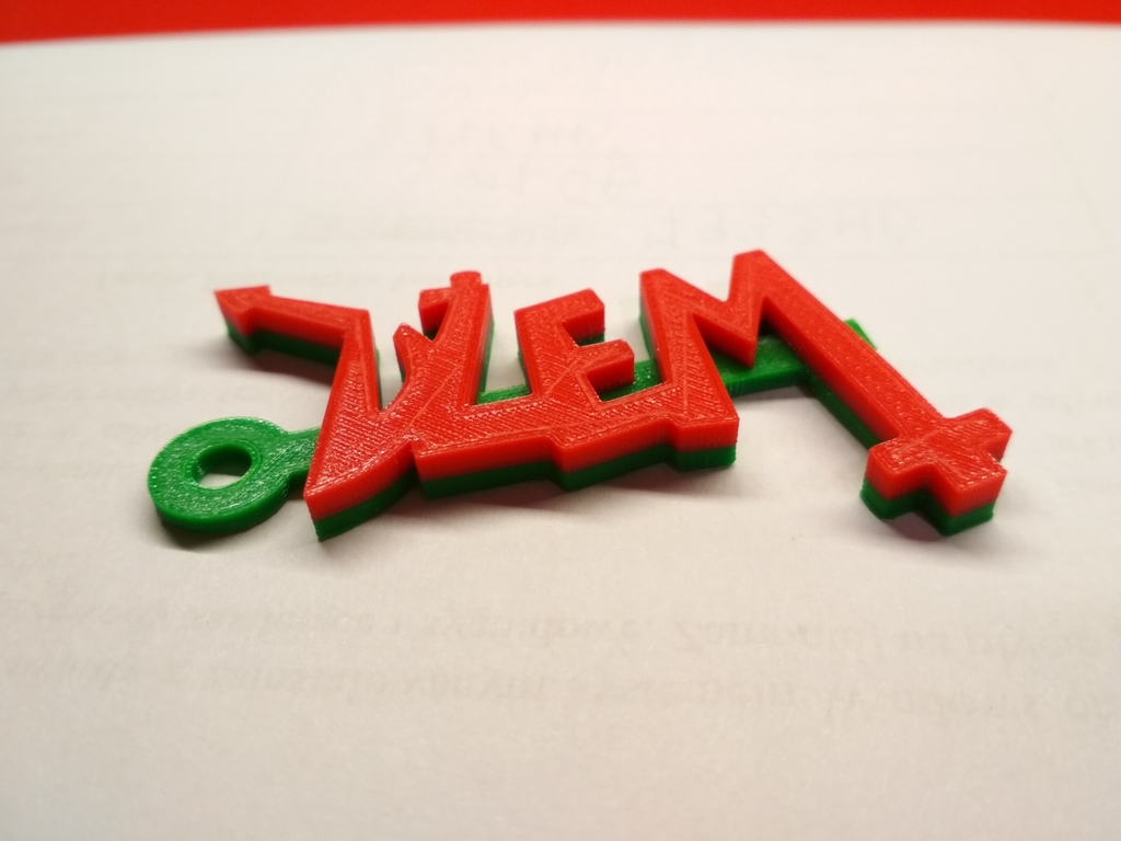Dzem Logo Keychain