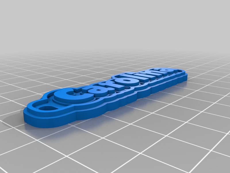 carolina keychain