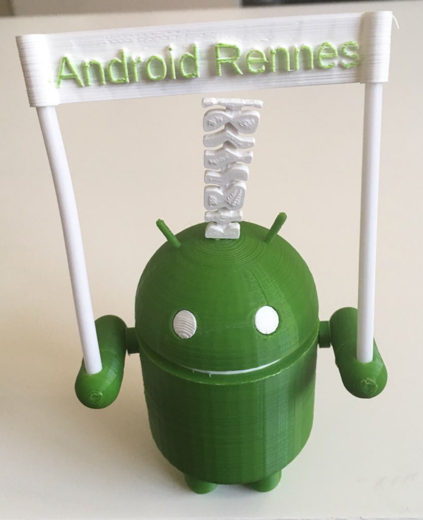 Posable Android Rennes Robot