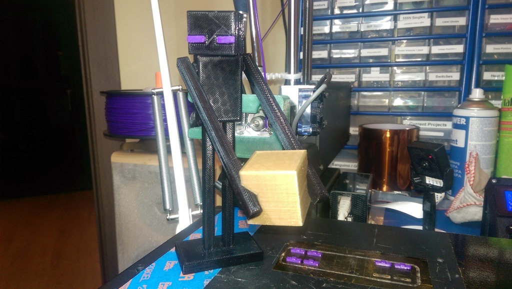 Enderman's Eyes