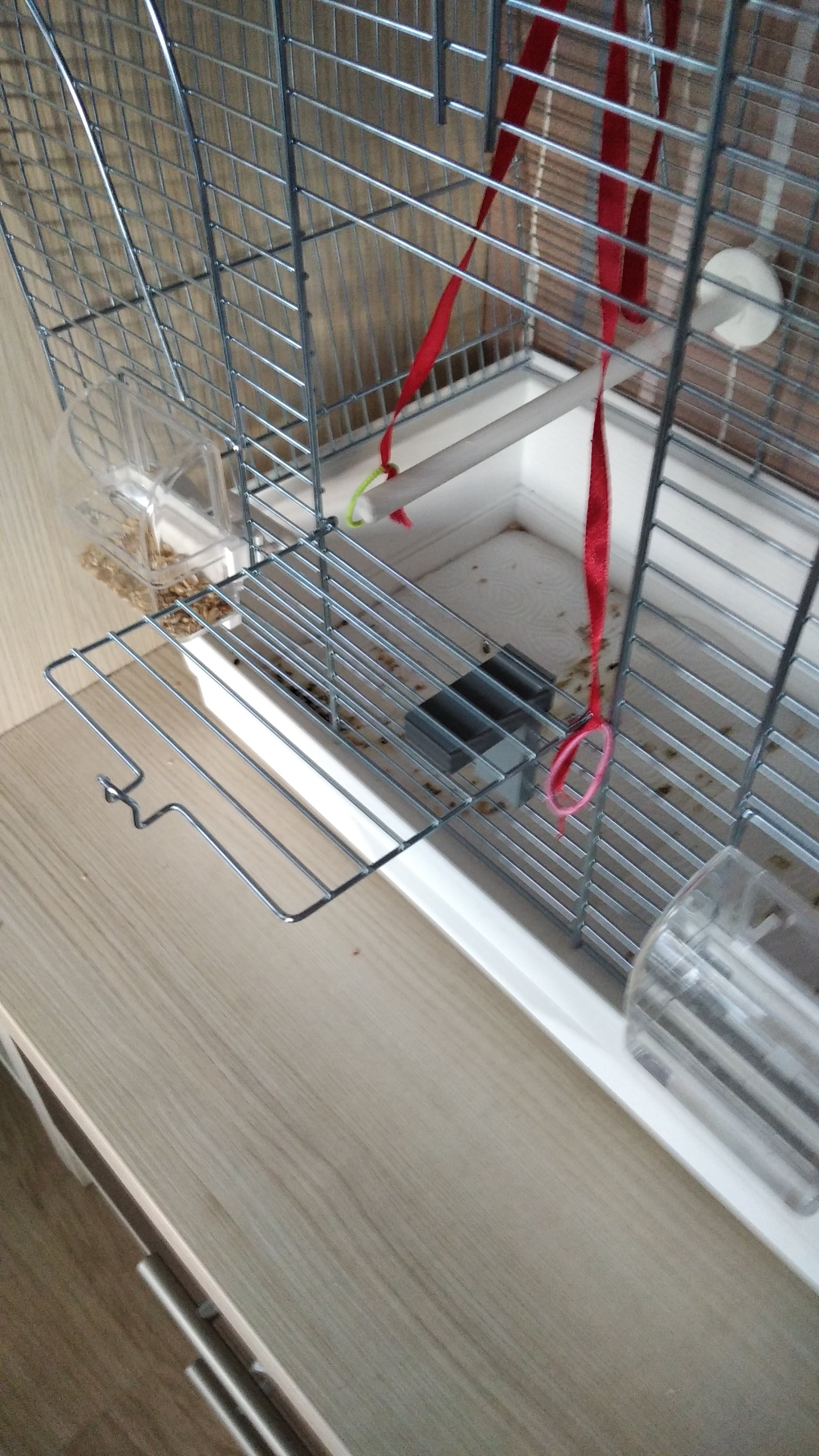 Parrot cage doors holder
