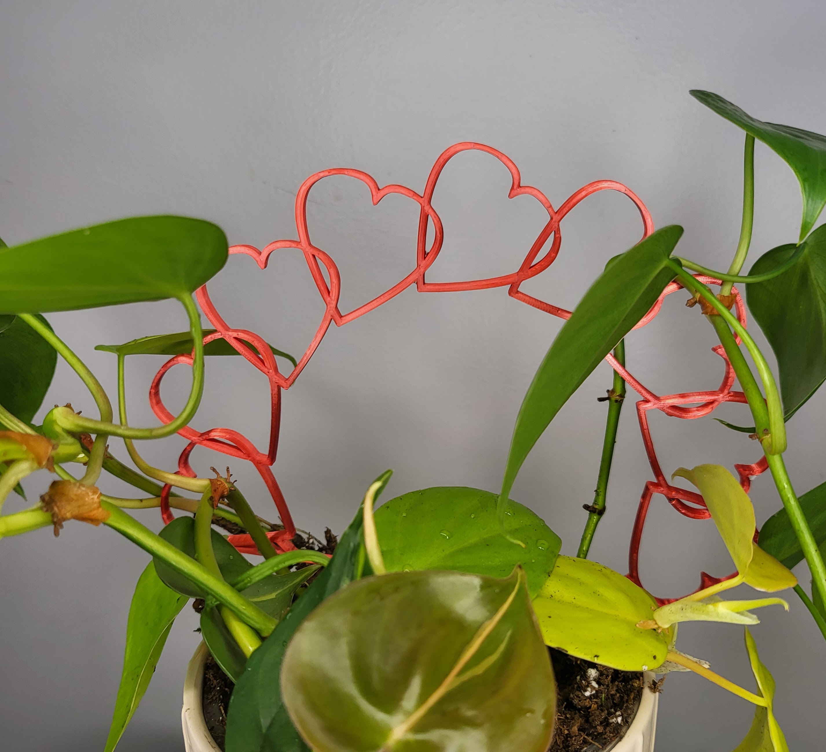 Heart Houseplant Trellis