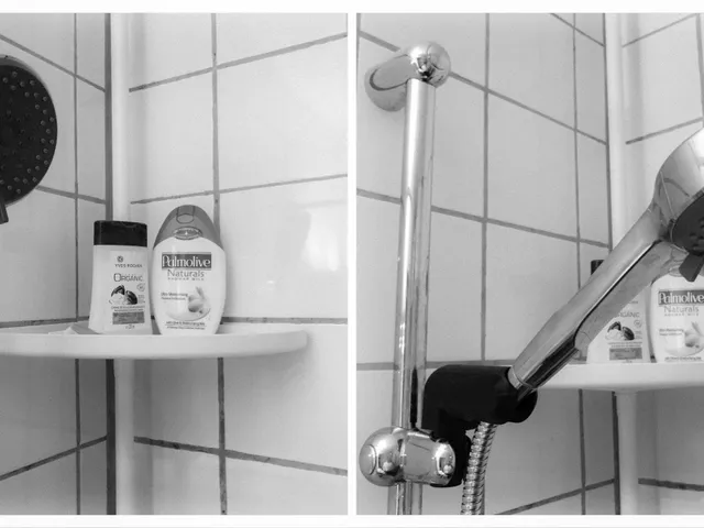 Shower Head Mount