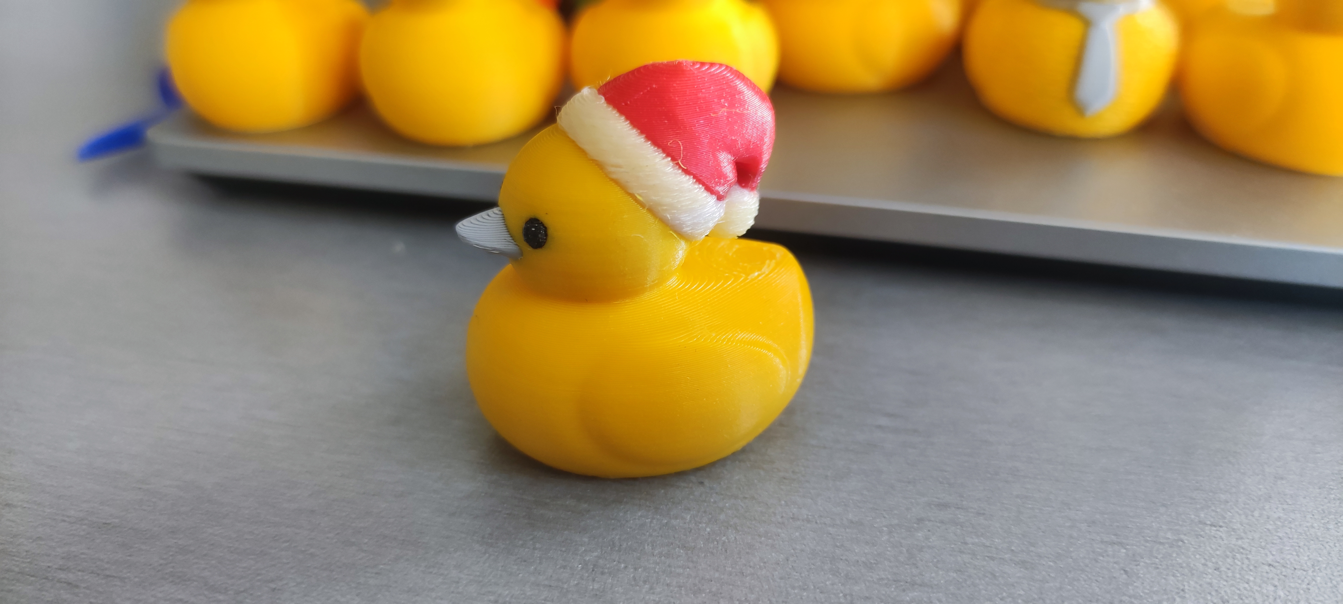 Duck with santa's hat