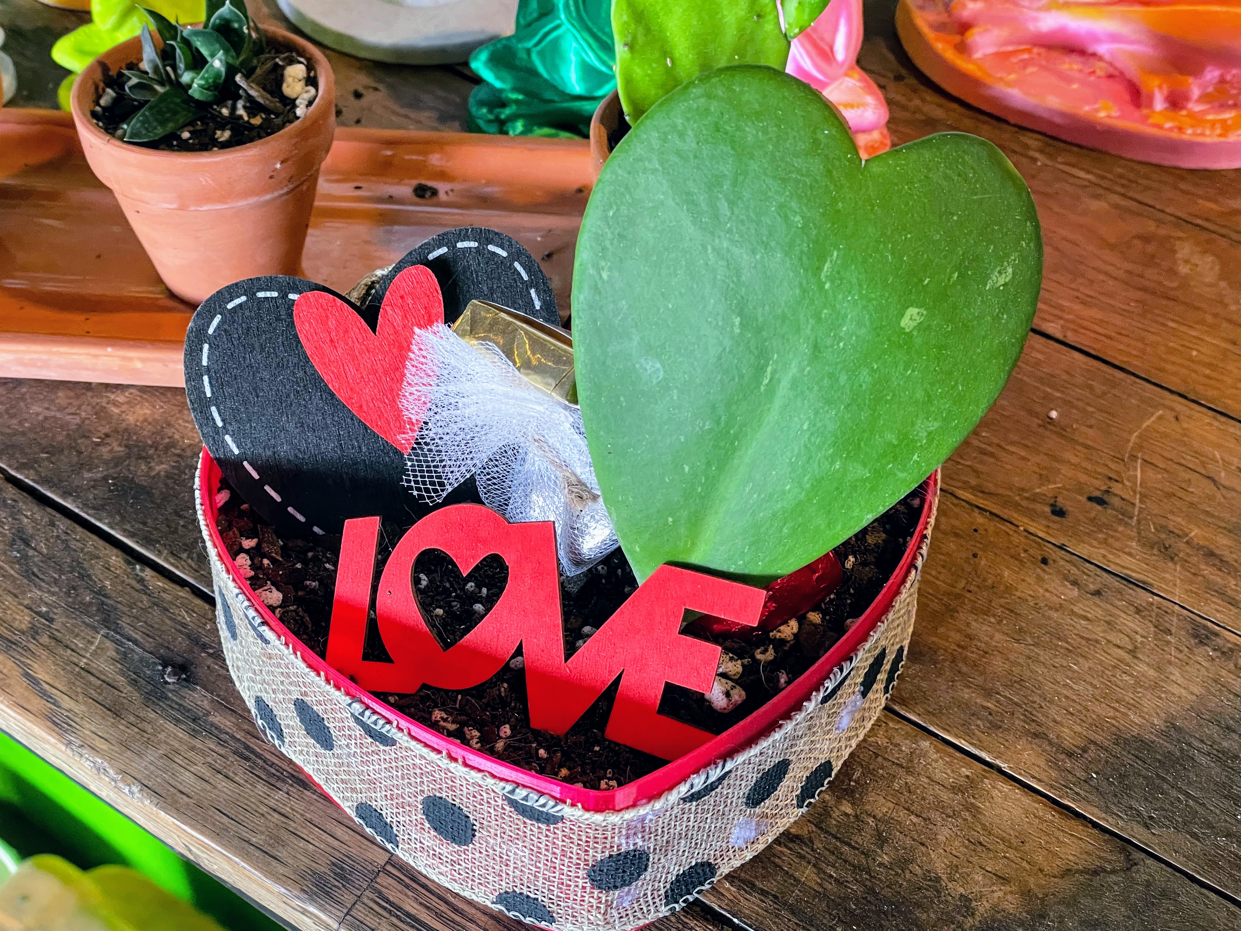 Heart Shaped Self-Watering Planter