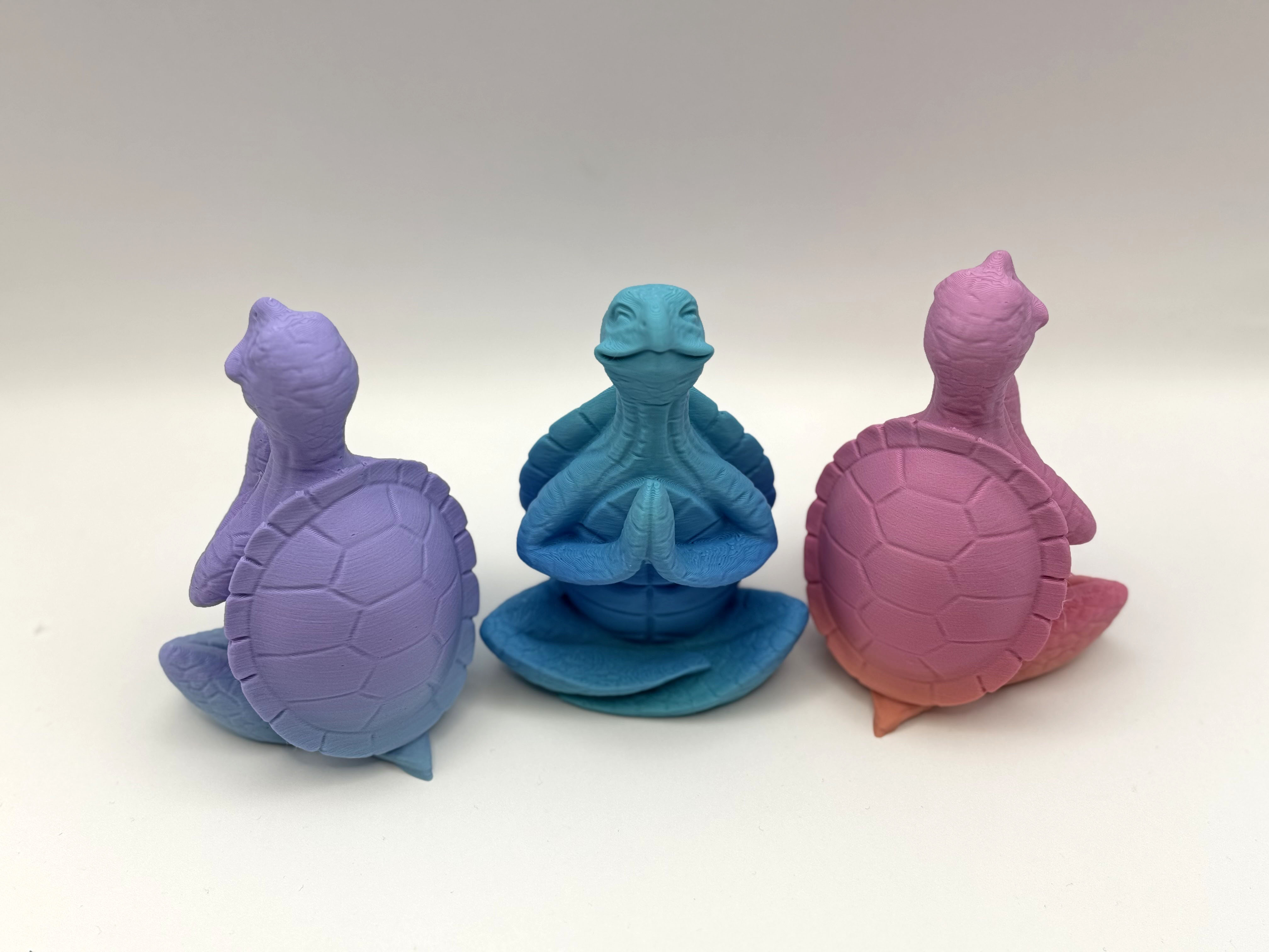Miniatura 3 do modelo 3D Zen Turtle
