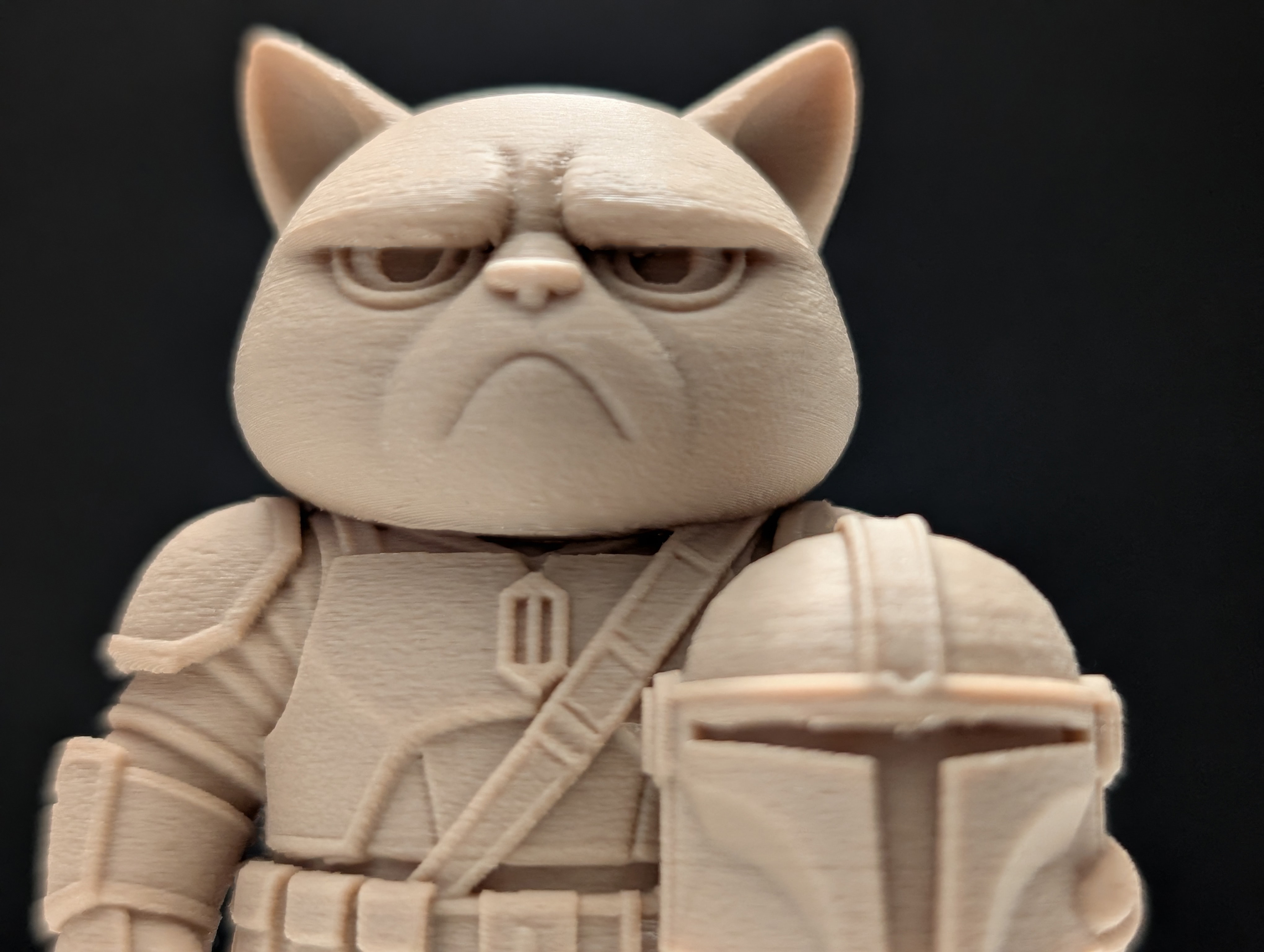 Miniatura 2 do modelo 3D Grumpy Cat Mandalorian