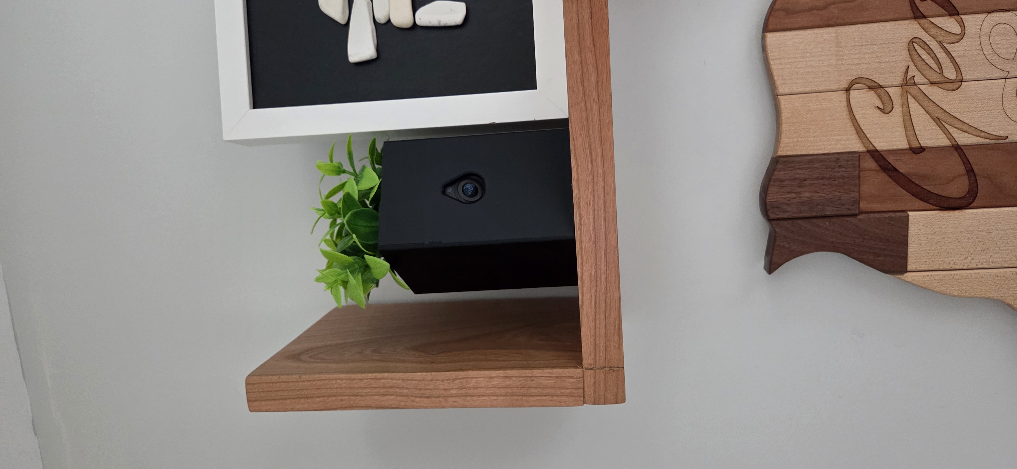 Wyze Camera planter hider