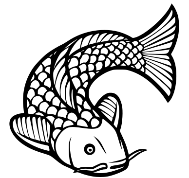 Koi — miniatura 2