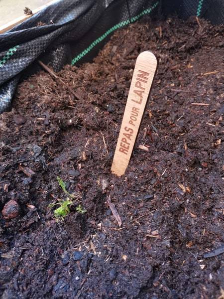 Garden Label Laser Cut - Etiquette de Jardin