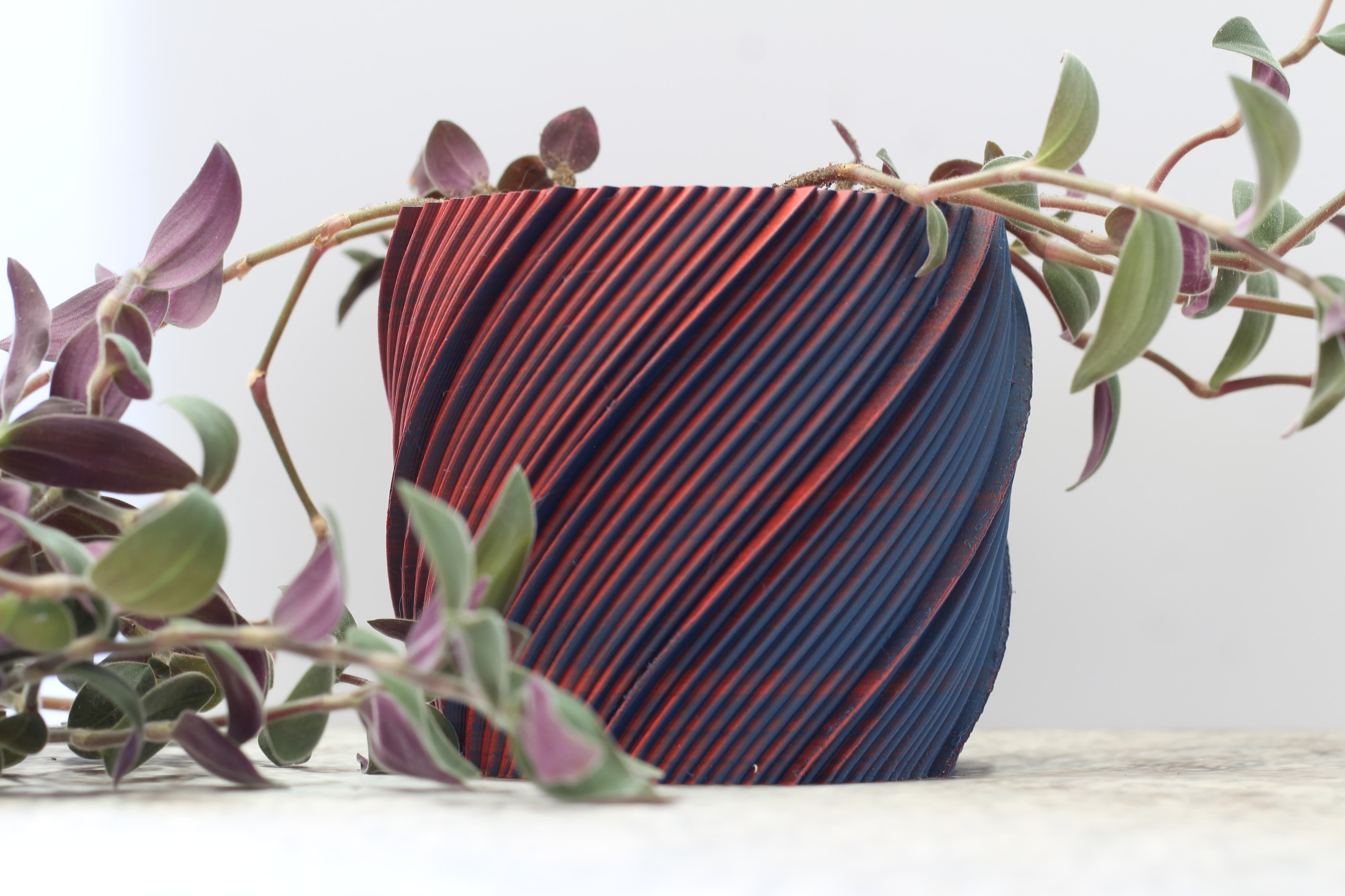 Swirl Planter