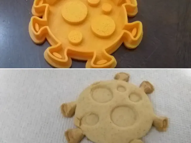 COVID-19 Cookie Cutter