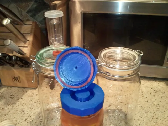 Lacto Fermentation Lid