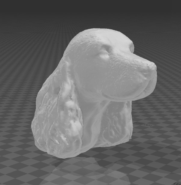 Spaniel Dog Head