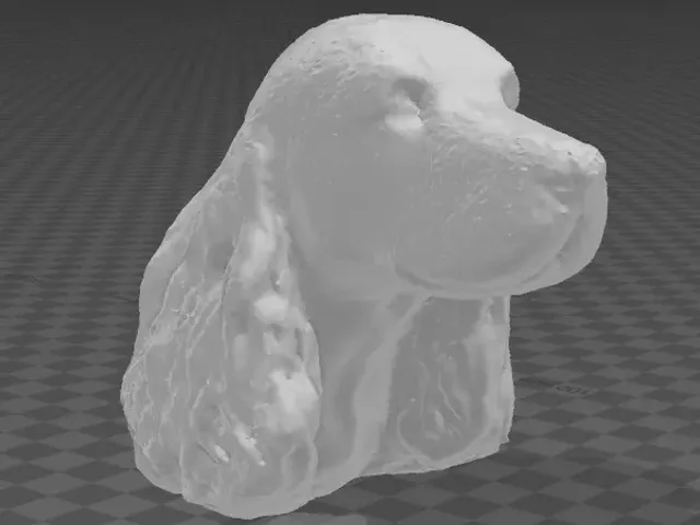 Spaniel Dog Head