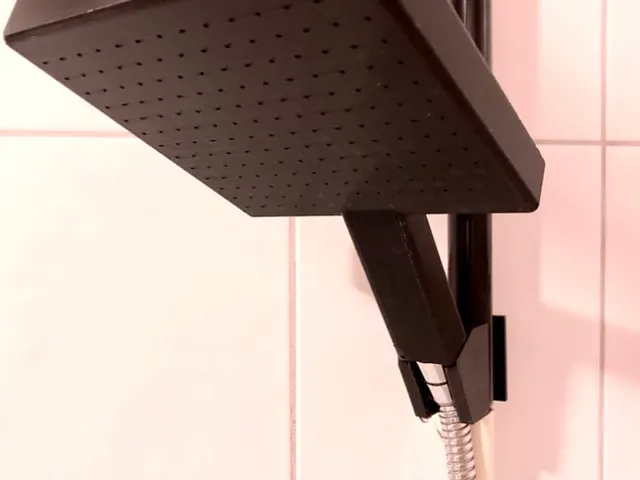big shower head with handle