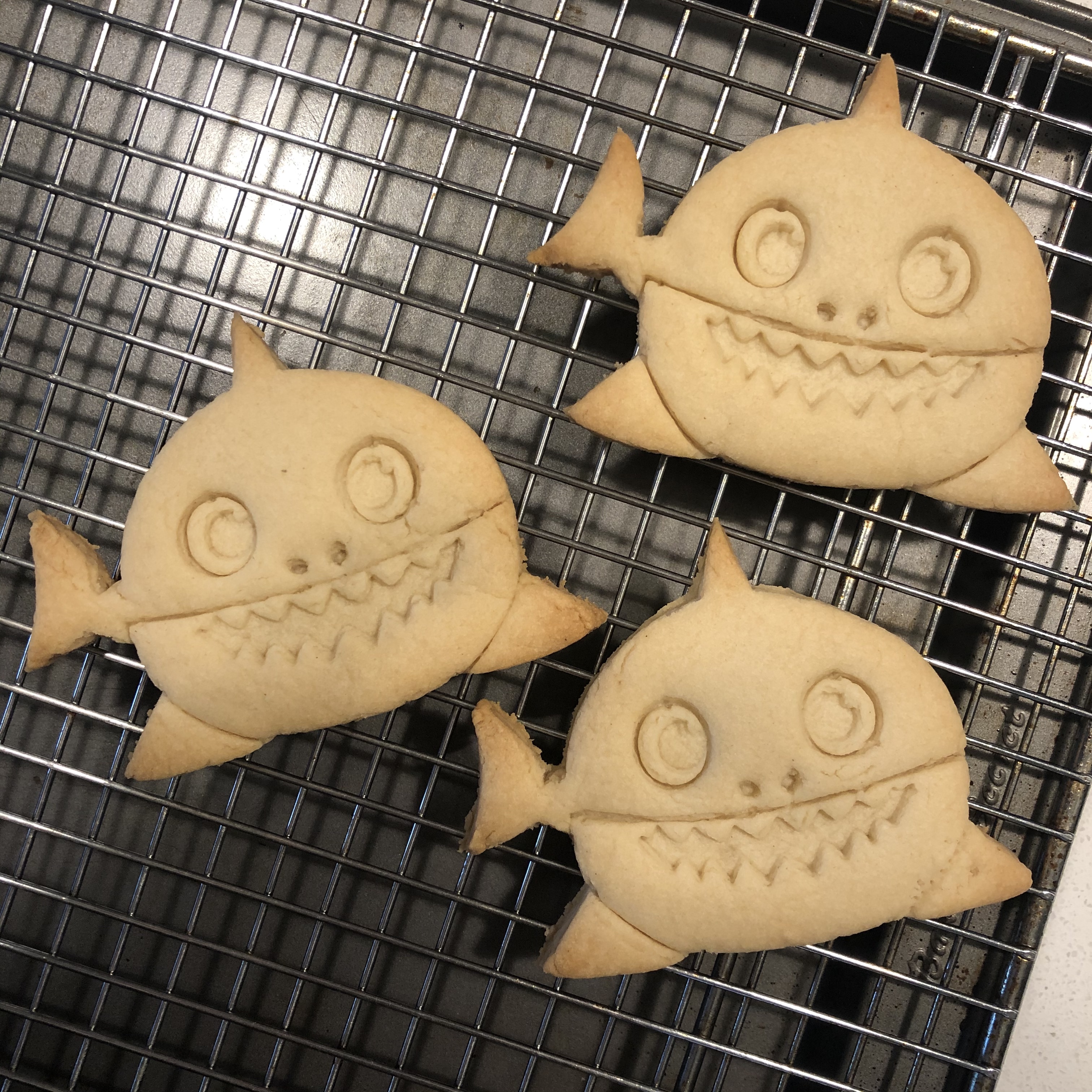 Shark Cookie Cutter