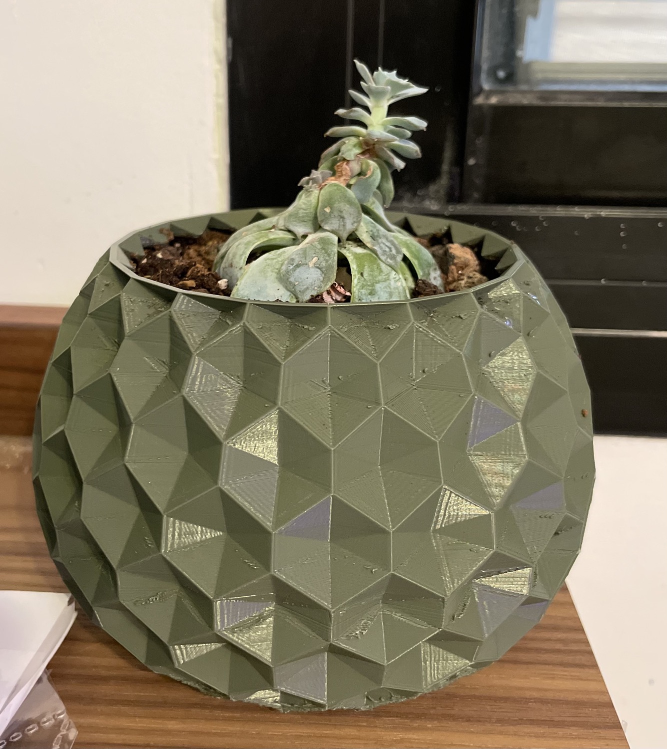 Printable Geodesic Planter