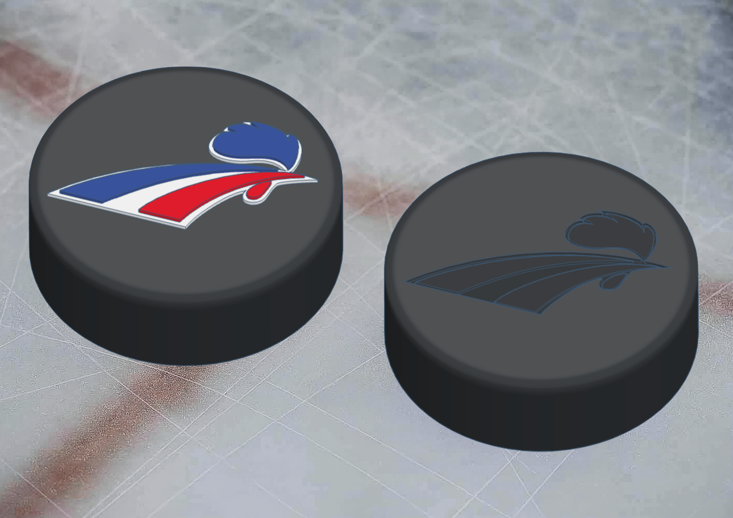 France Hockey IIHF Logo and Puck