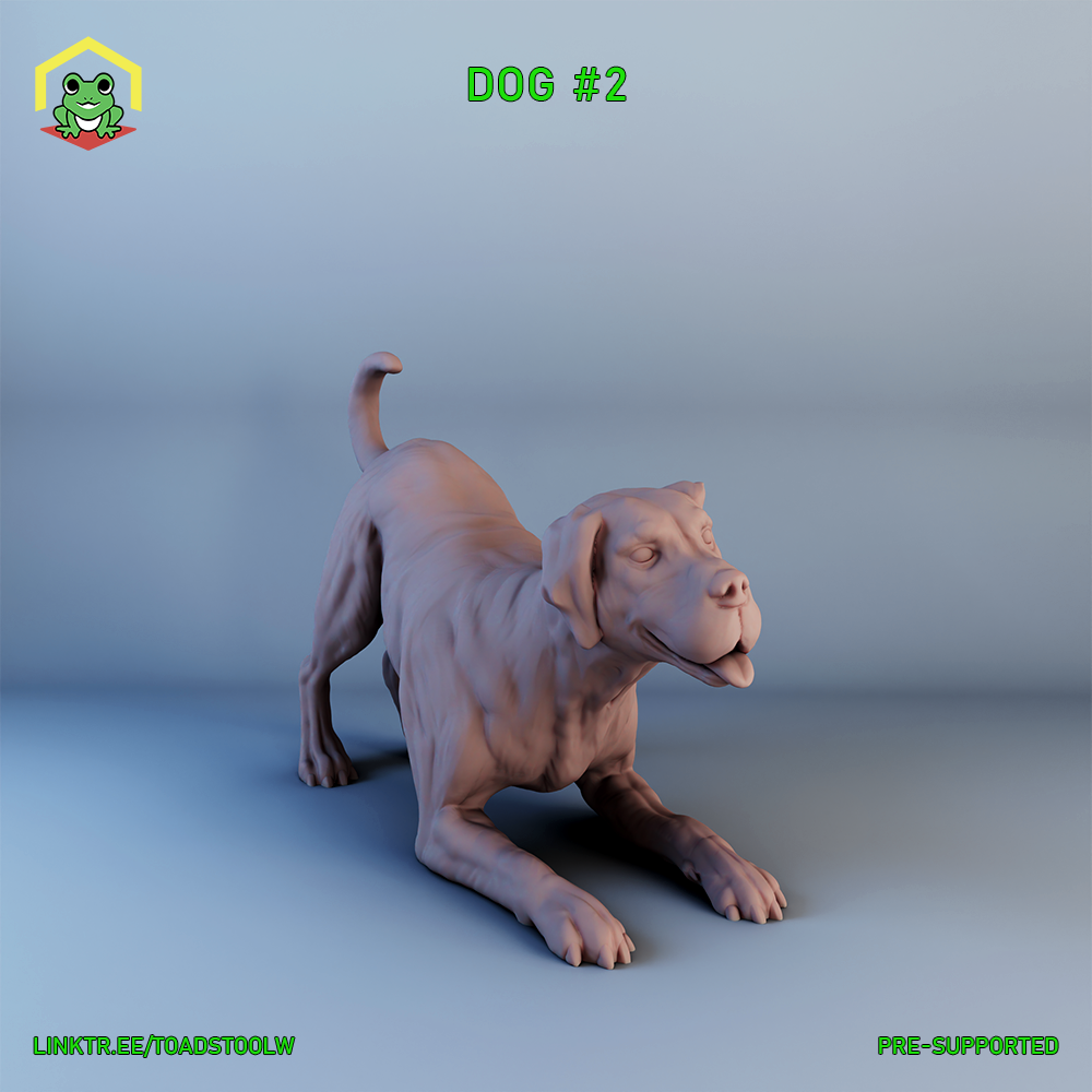 Dog - 2