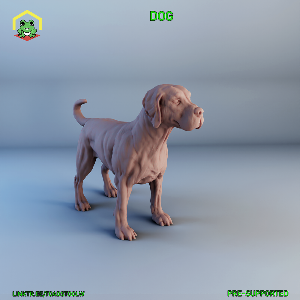 Dog