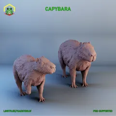 Capybara