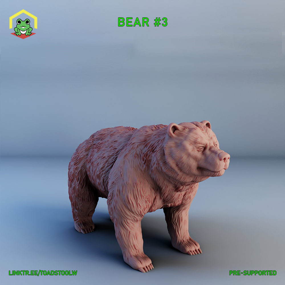 Bear #3