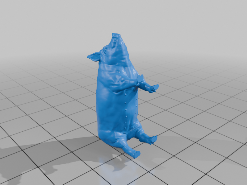 Pig