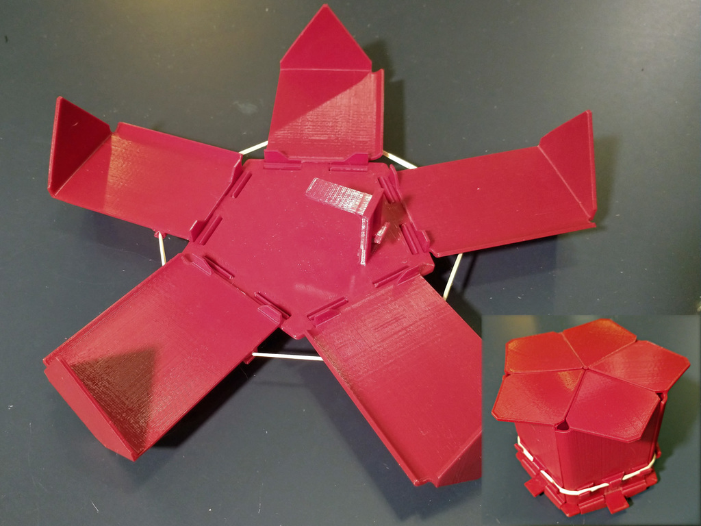 Venus Mouse Trap
