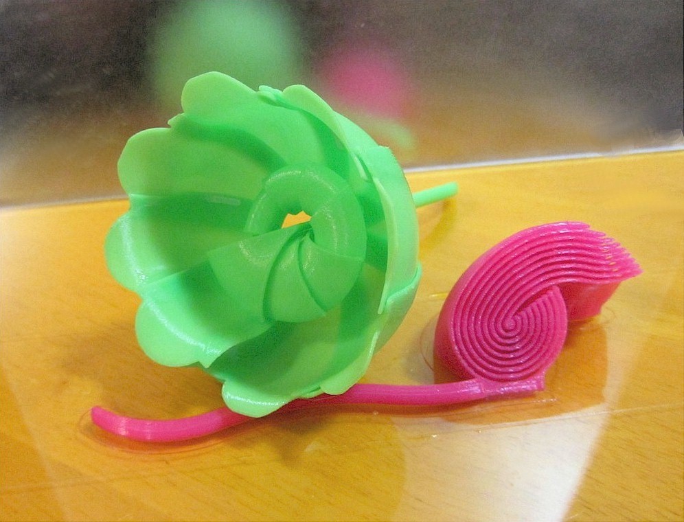 Collapsing Rose