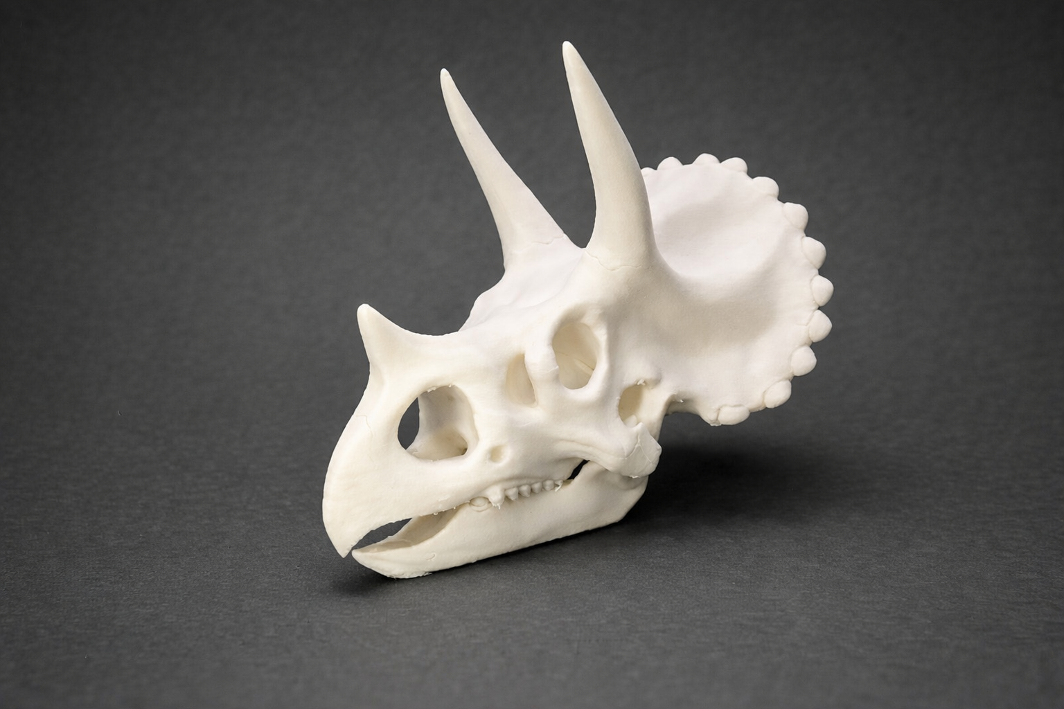 Triceratops Schädel – dekorative Dino Skull Figur