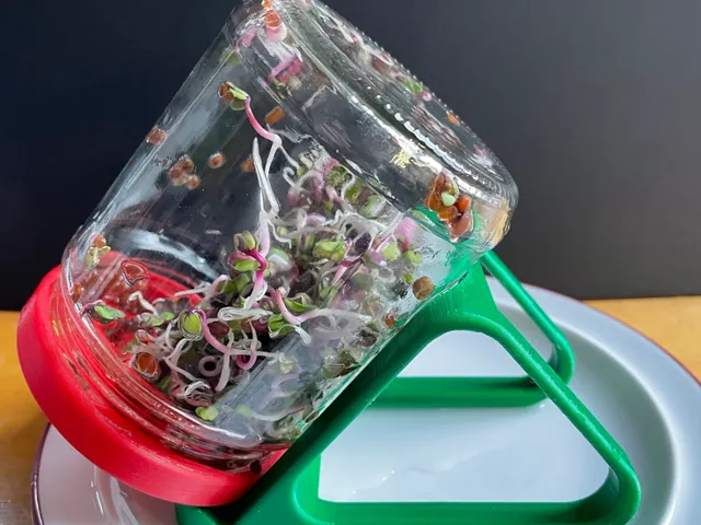 Sprouter Glass Stand