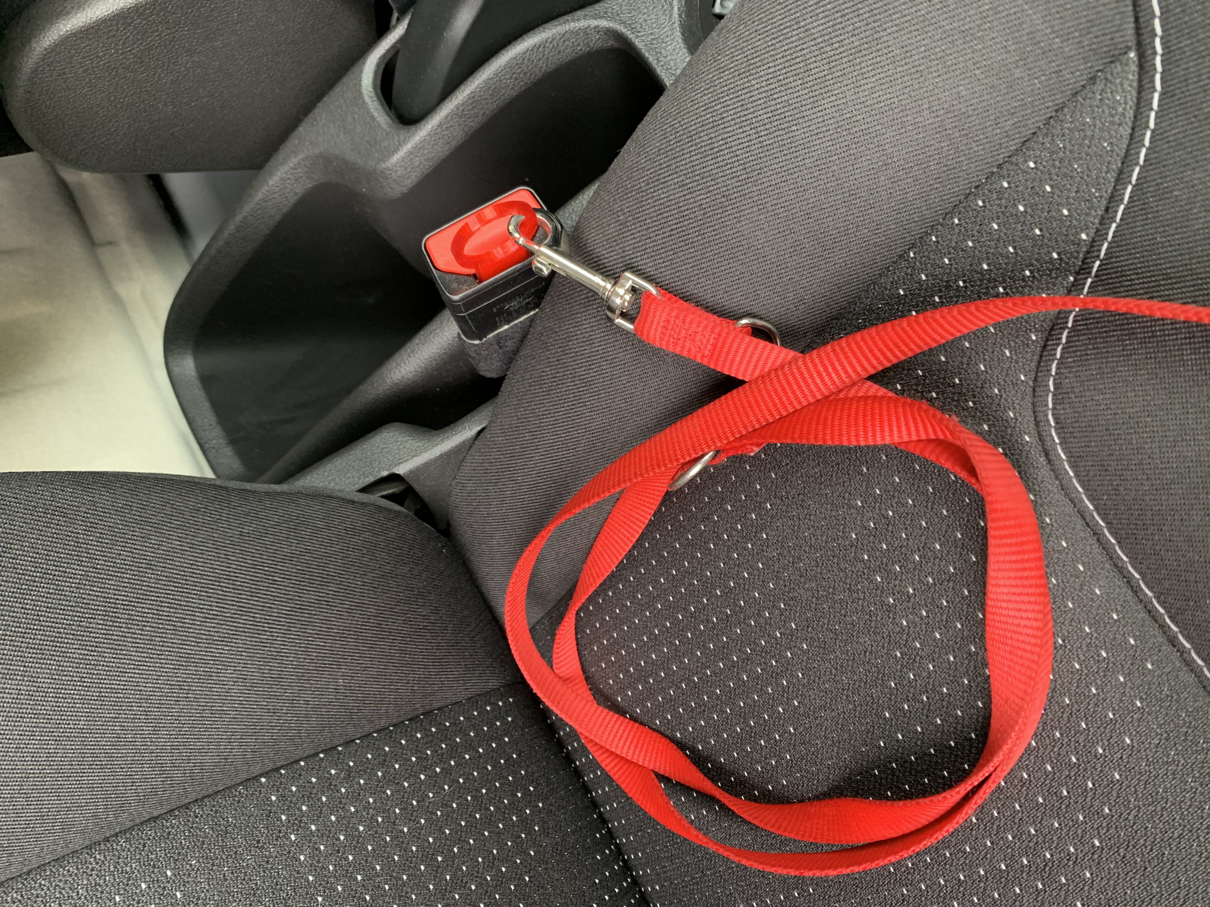 Seat belt car for dog-cat-bags