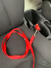 Seat belt car for dog-cat-bags