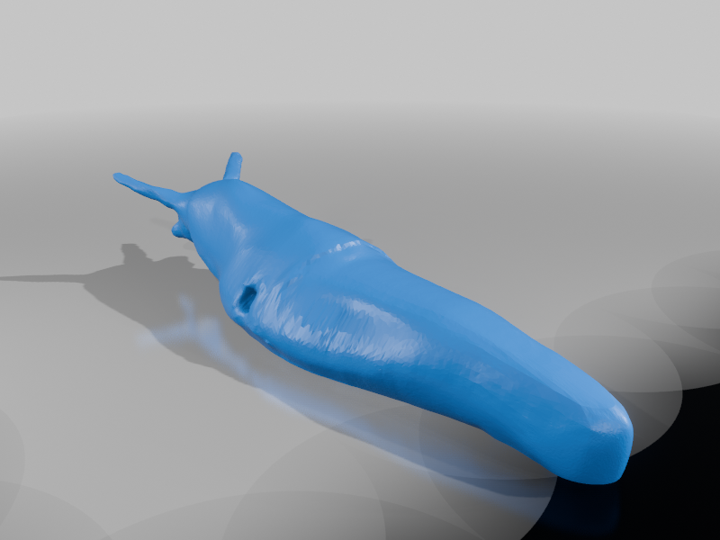 Realistic Slug — miniatura 2