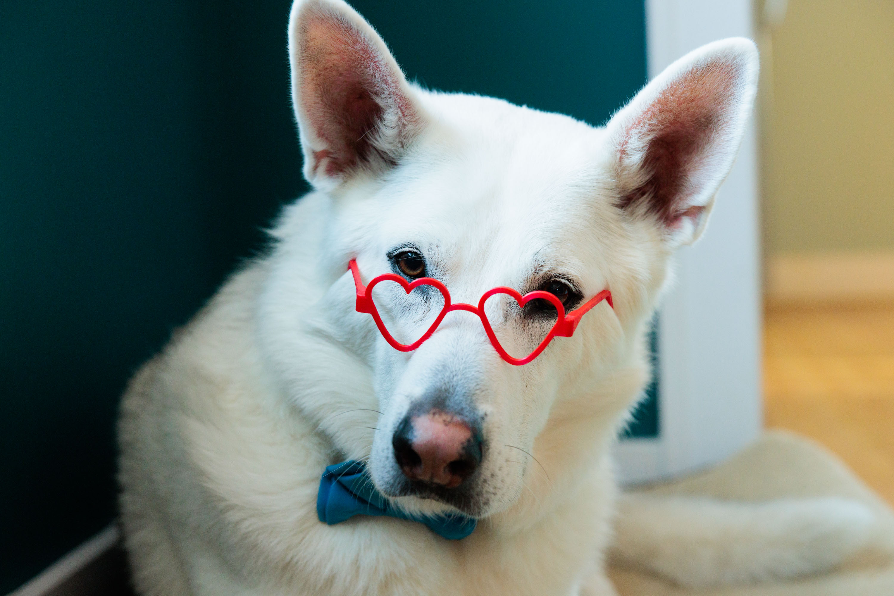 Heart Glasses — miniatura 3