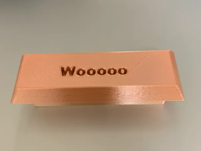 Timelapse Test Print ( I did it woooo)