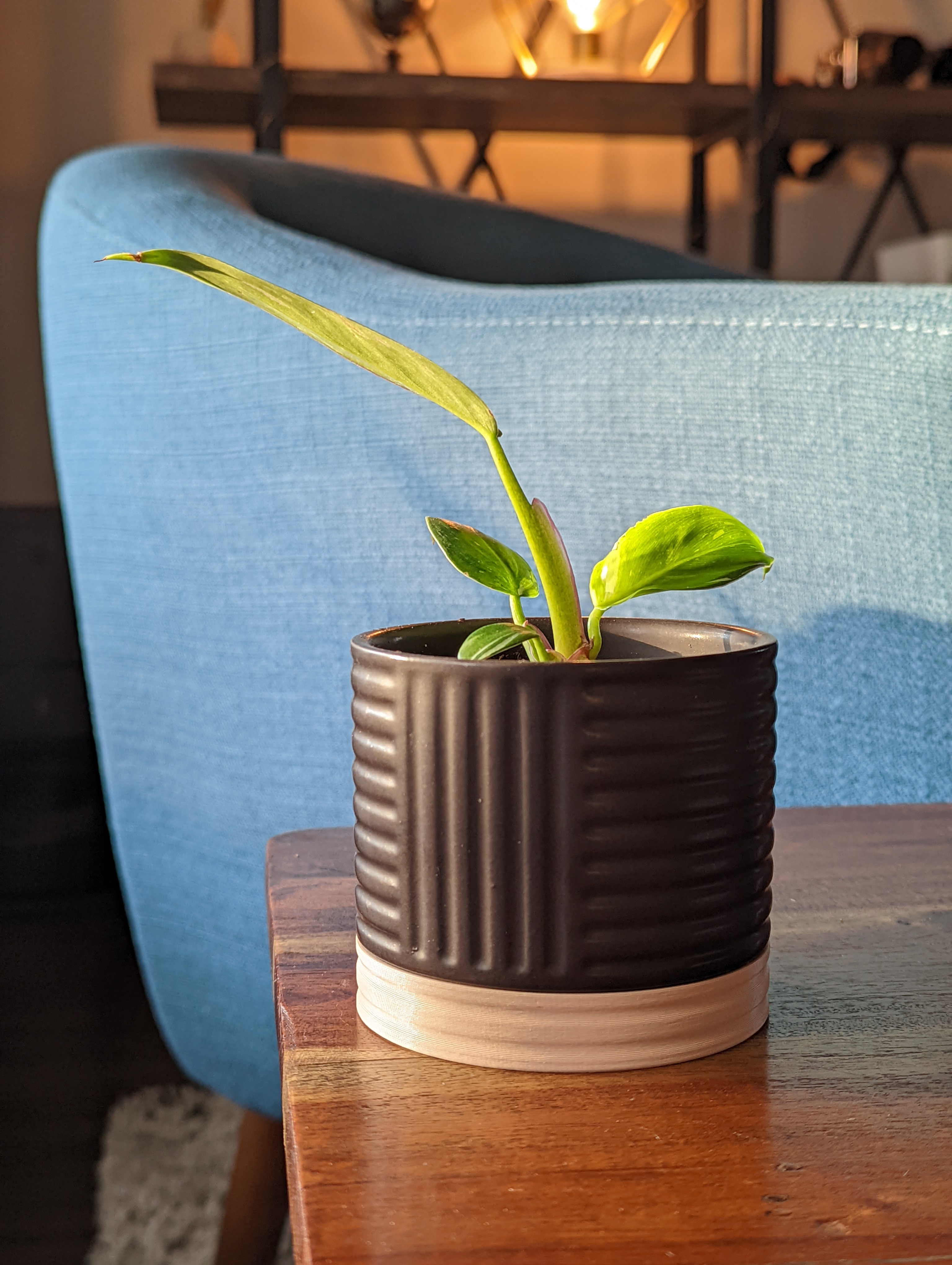Drip Tray for Small Target Planter