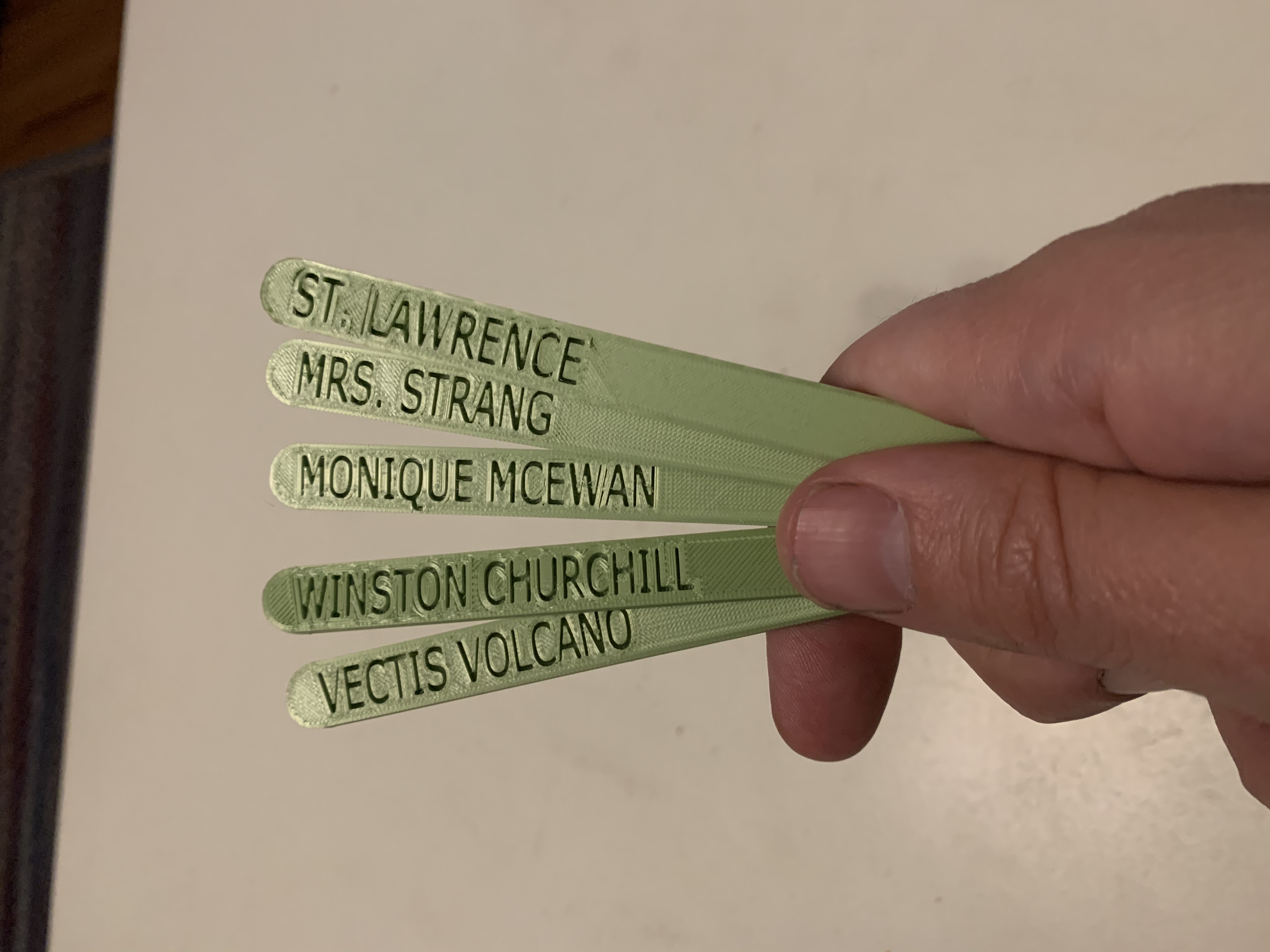 Permanent Garden Popsicle Sticks