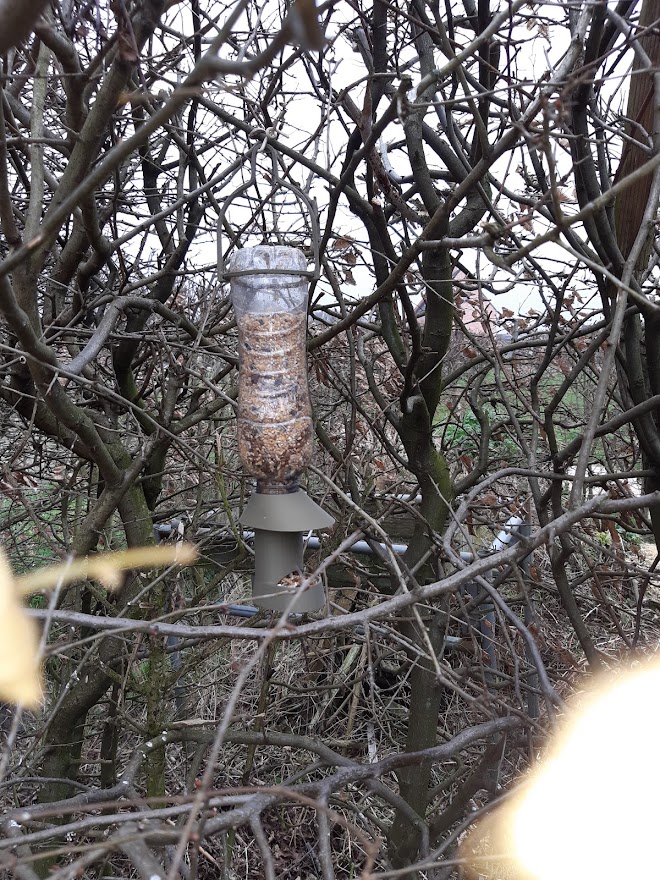 bird feeder in hedge version