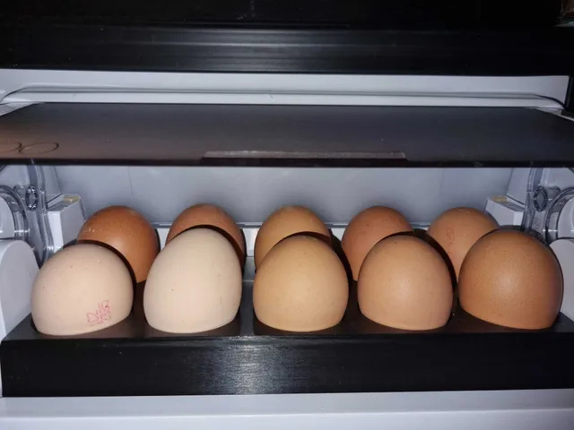 Refrigerator egg holder