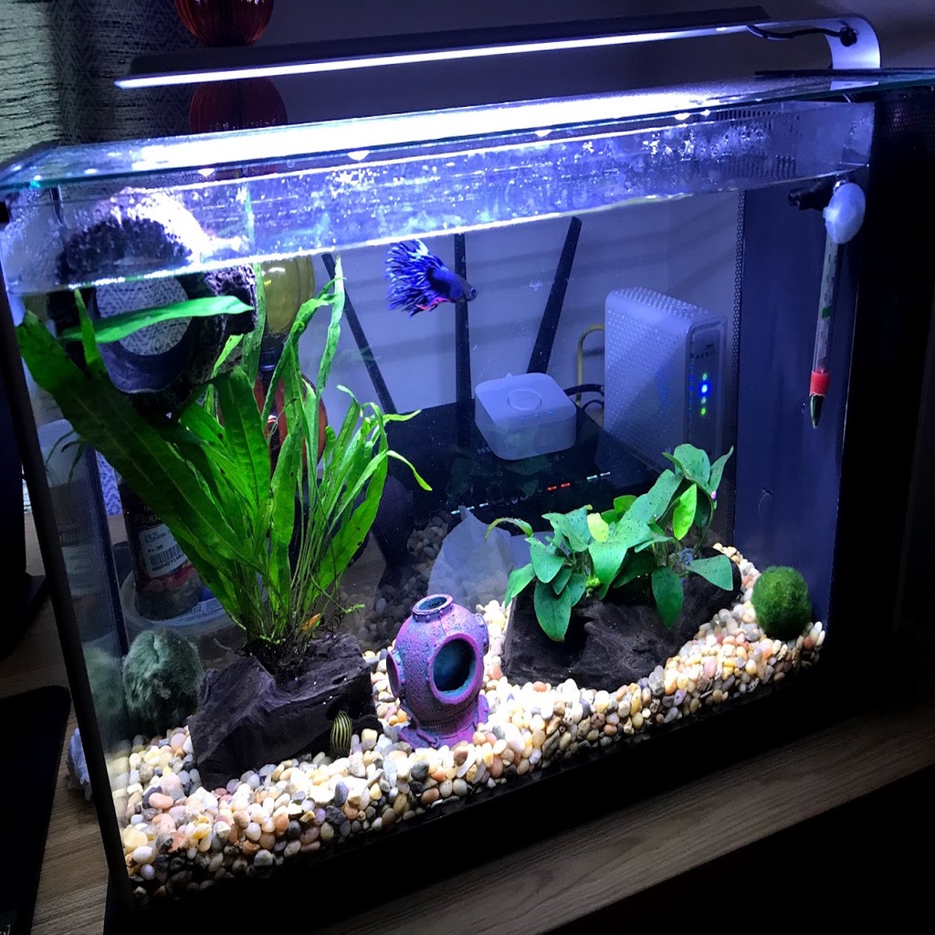 Fluval Spec 5 Aquarium Glass Lid Rails Mod by senatorface | Download ...