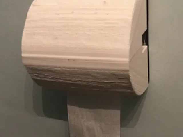 Toilet Paper Cover