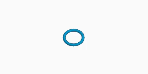 o-ring