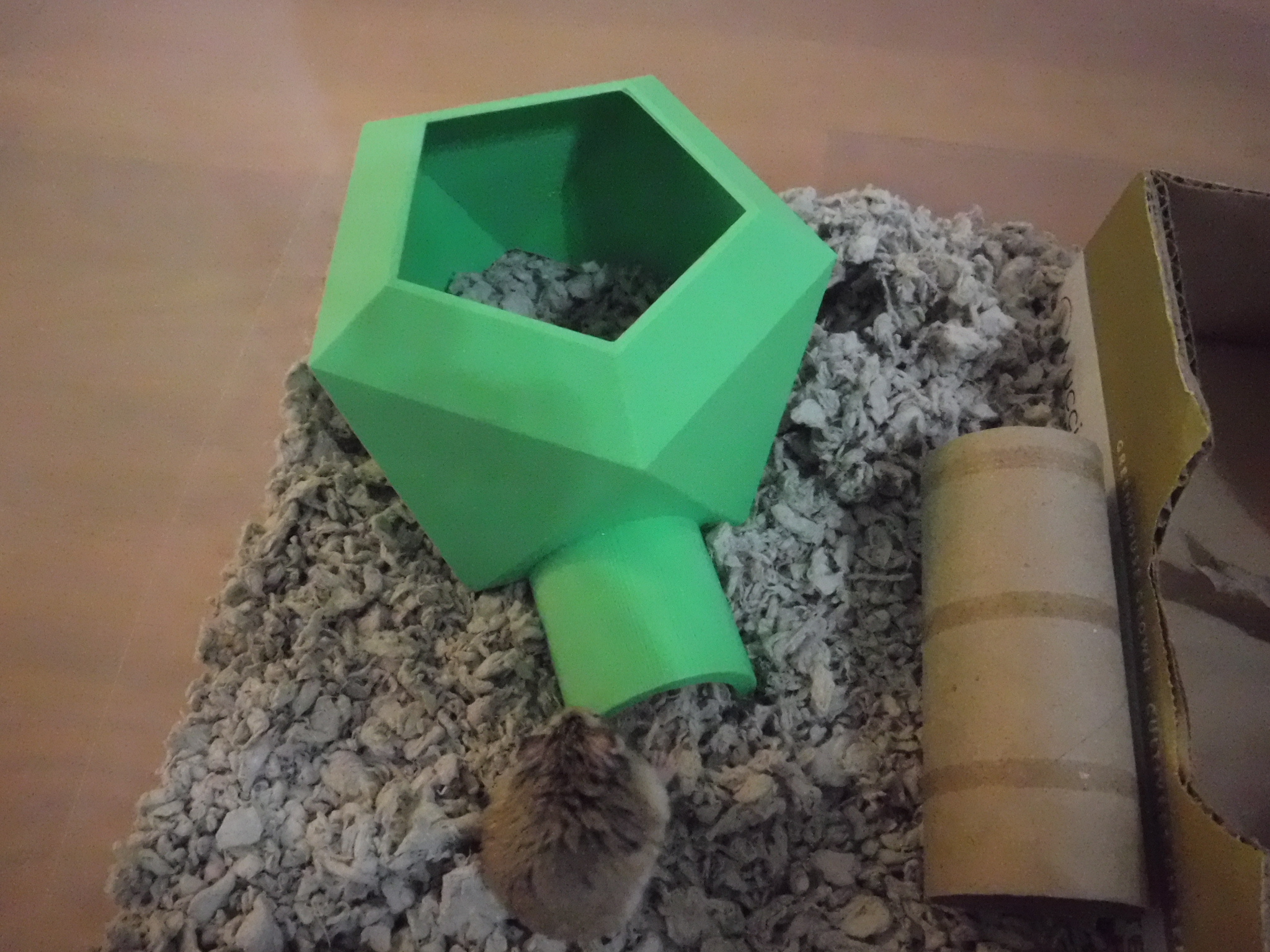 Hamster House—"The Fortress"