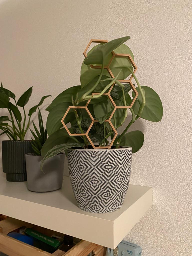 Plant Support / Plant Trellis / Hexagon / Honeycomb