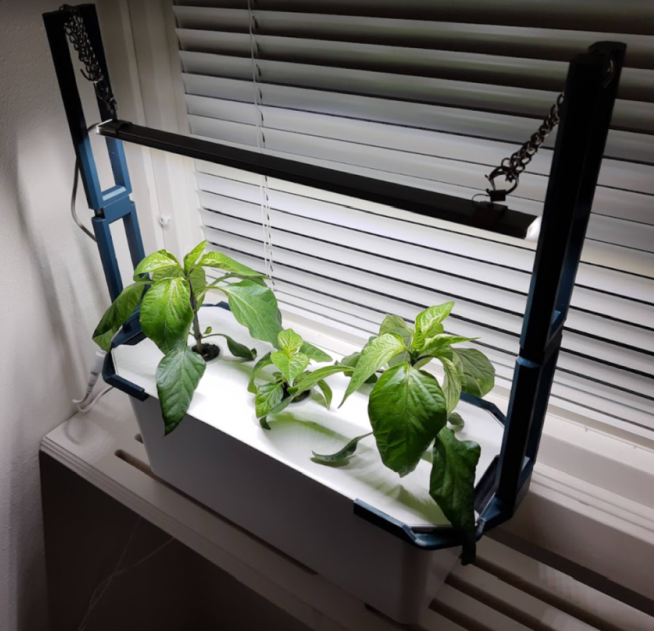 LED holder for 3-hole Harvy hydroponic system