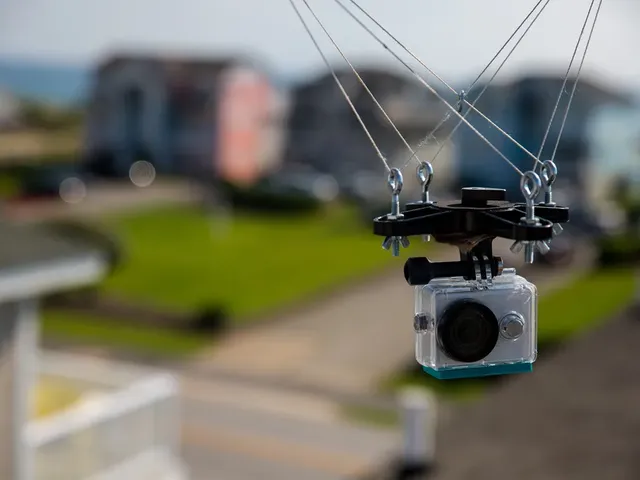 Kite Picavet
